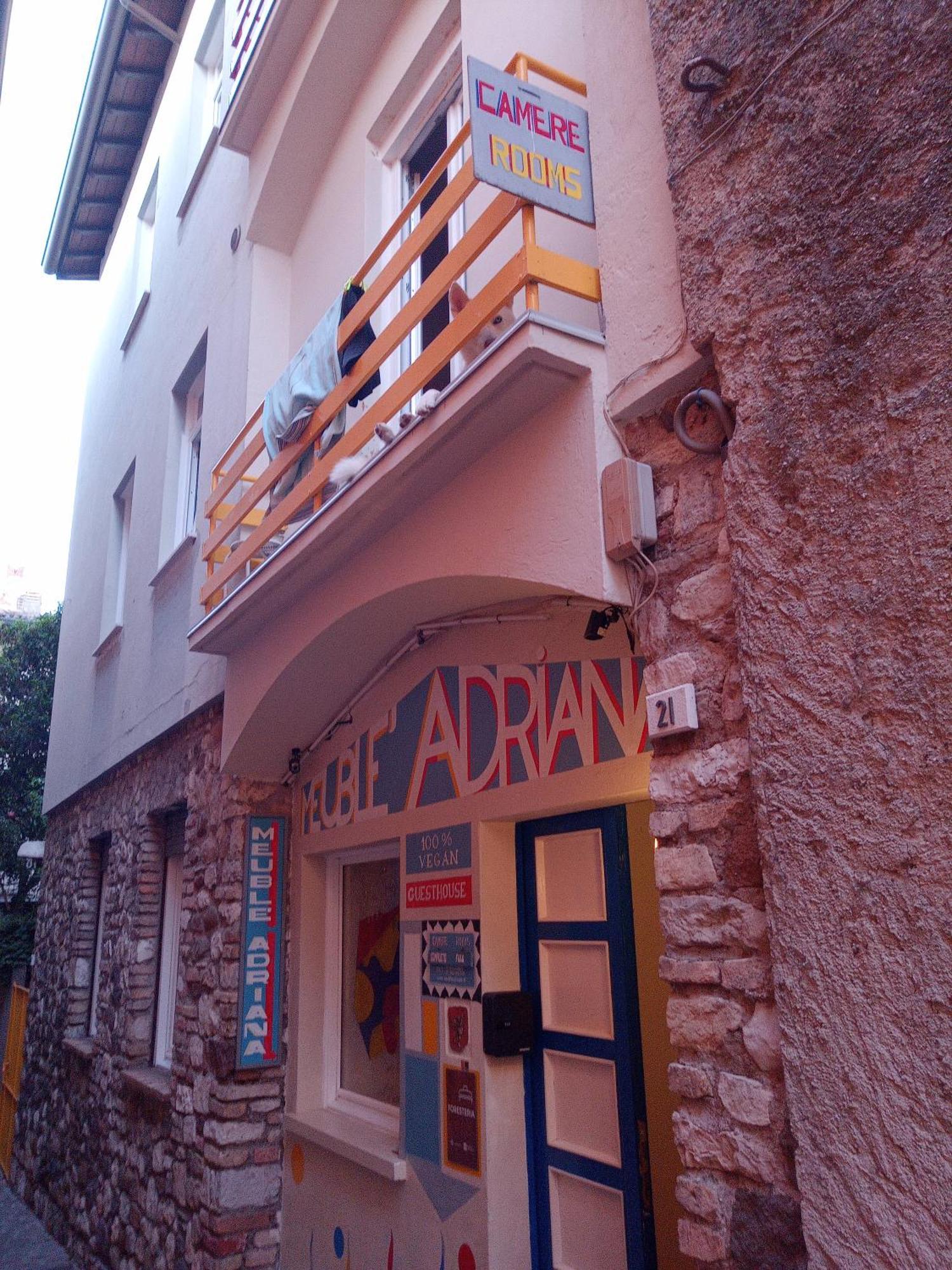 Vegan B&B Meuble Adriana 西尔米奥奈 外观 照片